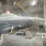 F-35 Climate Test_3a