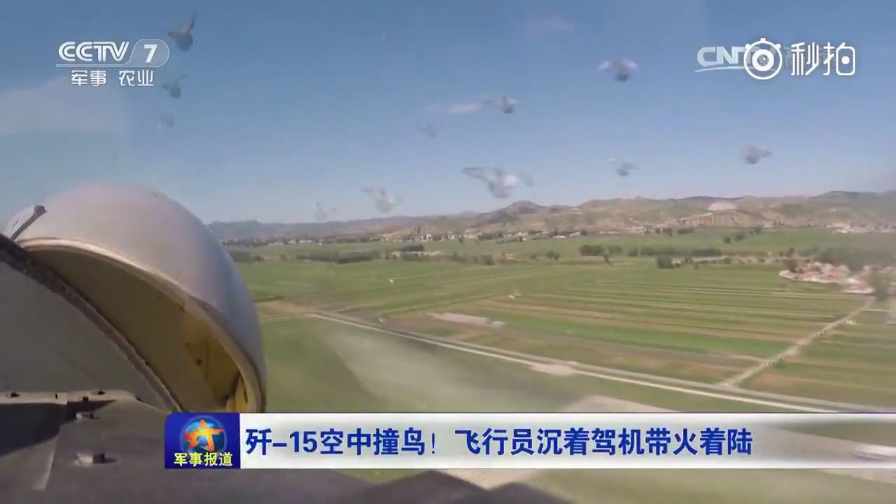 Cockpit camera captures catastrophic bird strike on J-15